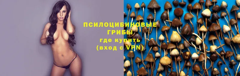 Галлюциногенные грибы Magic Shrooms  где продают наркотики  Нижнекамск 